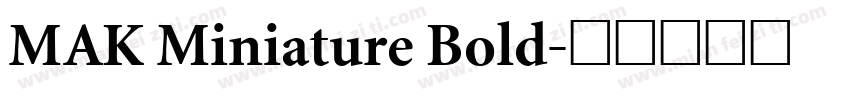 MAK Miniature Bold字体转换